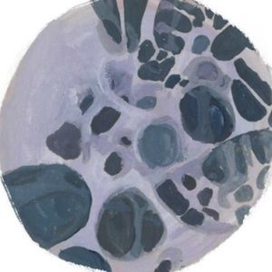 Meet your Posher, Zoe